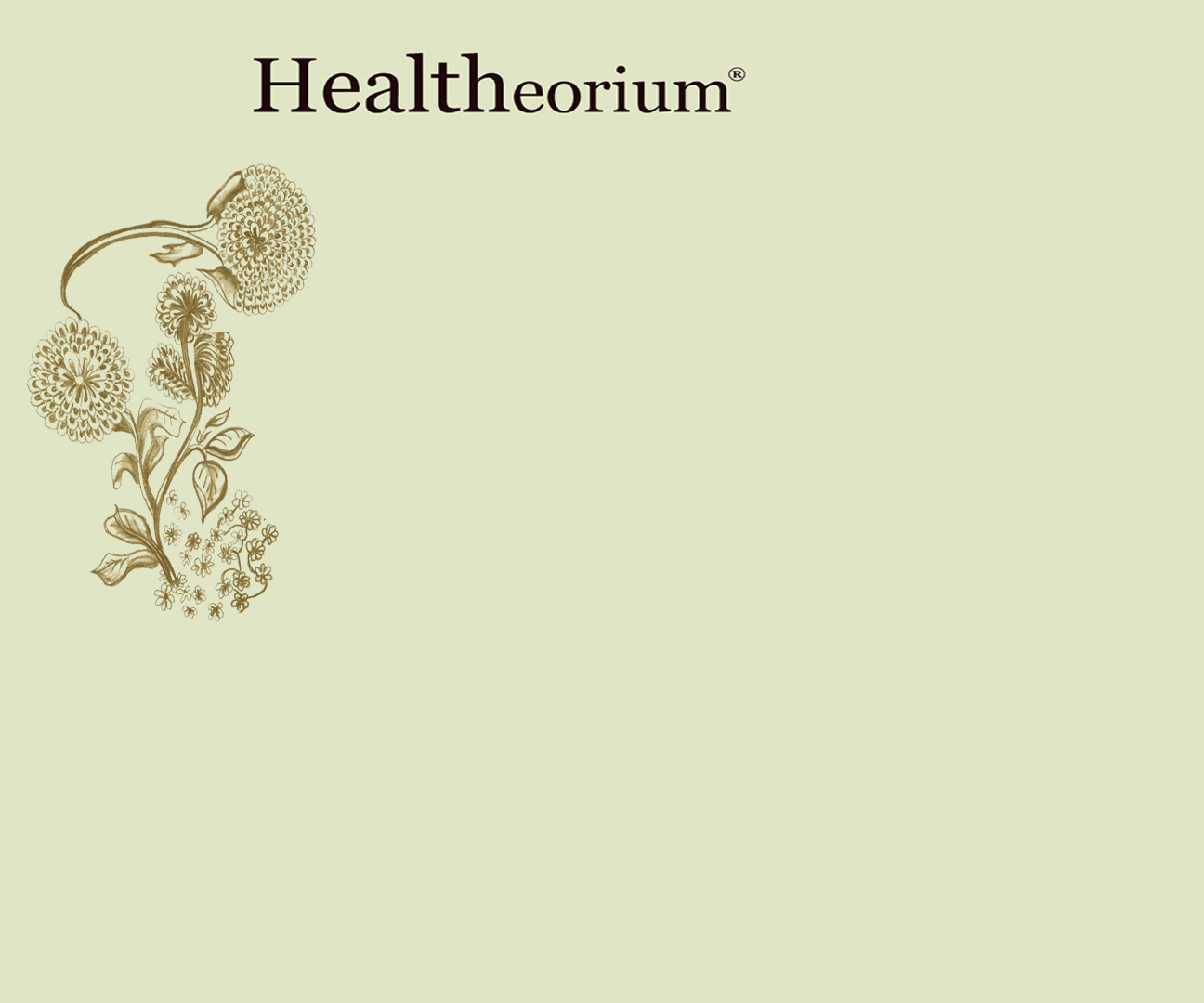 Healtheorium, healthy recipes,natural food,healthy food,cleaners,green cleaners by Mimi Borger